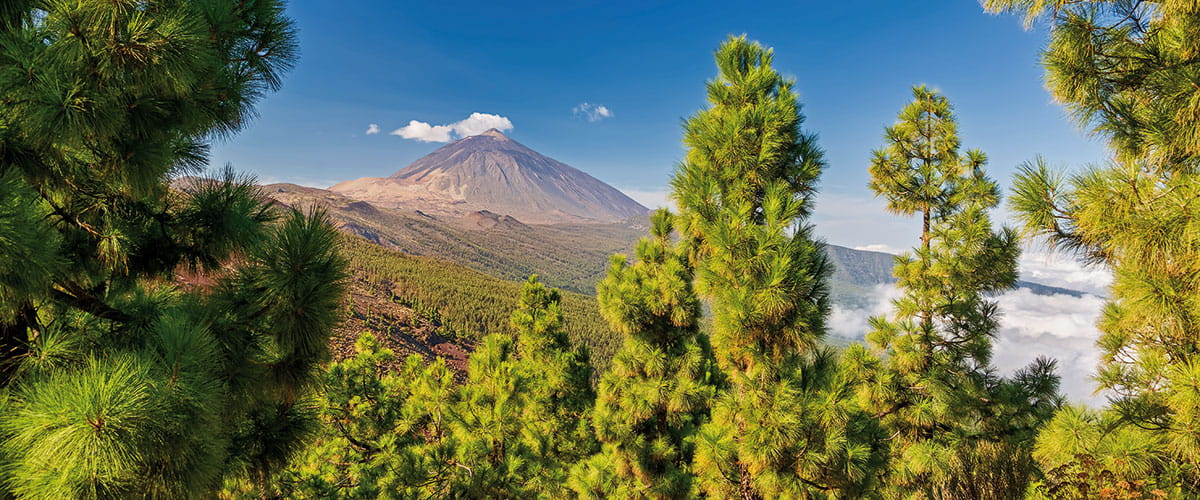Mount Teide from afar, Tenerife, Canary Islands 